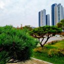 새빛공원 | 광명새빛공원 미니정원 산책 가을 꽃구경