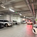 오늘은 찜&탕 | 송도현대아울렛맛집 강뼈탕찜 어마어마한 양의 송도 뼈해장국