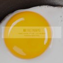 다이어트요가-A 이미지