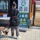 덕수공원반려견놀이터 이미지