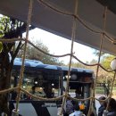 오월드 | 대전 동절기 오월드 사파리 후기