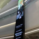 라웁 | 곳 '장송의 프리렌 전시회 - 모험의 끝에서 시작되는 이야기' 전시 정보 및 굿즈 등 관람 후기 내돈내산