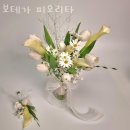 보테가피오리타 | 안양꽃배달 보테가 피오리타 퀵배달가격