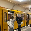 커브라인 이미지