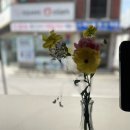 파스타흔 | 안양 동네 맛집 :: 가성비 좋은 점심식사추천 맛집 파스타흔