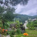 산길넘어펜션 이미지