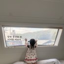 리버카라반 | 아기와 반려견까지 함께한 가평 올덴카라반, 리버뷰 개인정원 카라반 이용 후기(내돈내산)