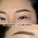 시그노엘 네이버블로그