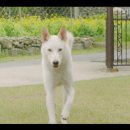 고래치과의원 이미지