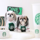 메이그루밍 이미지