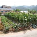 판대보건진료소 이미지