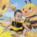 이마트 문현점 오감올리 4주 차 꿀벌 코스튬 뻥튀기 촉감놀이 10개월 아기 폭풍 성장