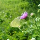 동화속 세상 클레이 이미지