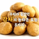 우리가 몰랐던 감자의 효능 이미지