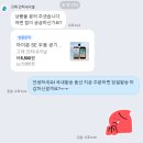 (유)하나물류 | 빈티지 아이폰 SE(고래 인터내셔널) / XS(유앤아이폰) 구매후기 (+배송 기간, 상태, 만족도, 색감 비교)