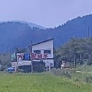 둔덕왕새우