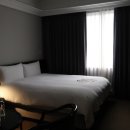 메종 글래드 제주 2박 3일 투숙 후기