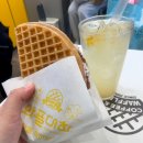와플대학협동조합 | 와플대학 베스트 메뉴 추천 젤라또, 애플시나몬 후기
