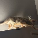 안집추어탕 | [난임기록] 동래 세화병원 시험관 - 난자채취