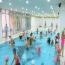 강서구민올림픽체육센터 이미지