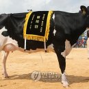 준이목장 이미지