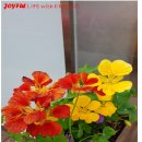 이레행정사 이미지