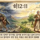 연단 받은 자들은 의와 평강의 열매를 맺는다 이미지