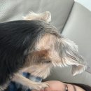 이글농장 이미지