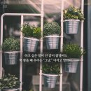 킹콩s