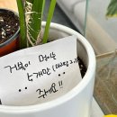 포레스테리어 이미지
