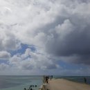 우리비치 이미지