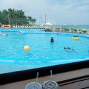 주문진 리조트 이미지