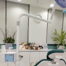 지앤미치과의원 이미지