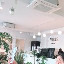 플로비스
