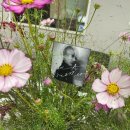 별이빛나는밤에1 이미지