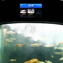 민물천국 이미지