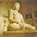 금 강  1 이미지