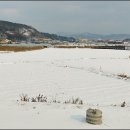 인삼엑스포주차장 이미지