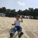 영진목장 이미지