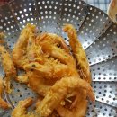 조촐이 Daum카페