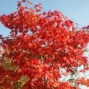 청산이야기