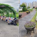 청사로-4 이미지