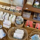 함덕환승정류장 이미지