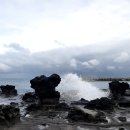 하귀환승정류장 이미지