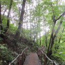 가리산자연휴양림 이미지