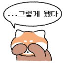 마미애듀