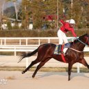 만배축산 이미지