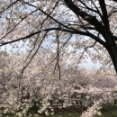 양재시민의숲역 1번출구 이미지