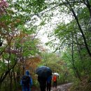 둘레길 펜션 이미지