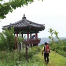 [남한땅 7정맥 ③호서정맥ㅣ구간종주 르포] 비밀의 문을 지나 아홉 딸이 죽은 산으로 이미지